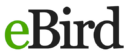 The Bird's Nest Panama's Ebird Profile