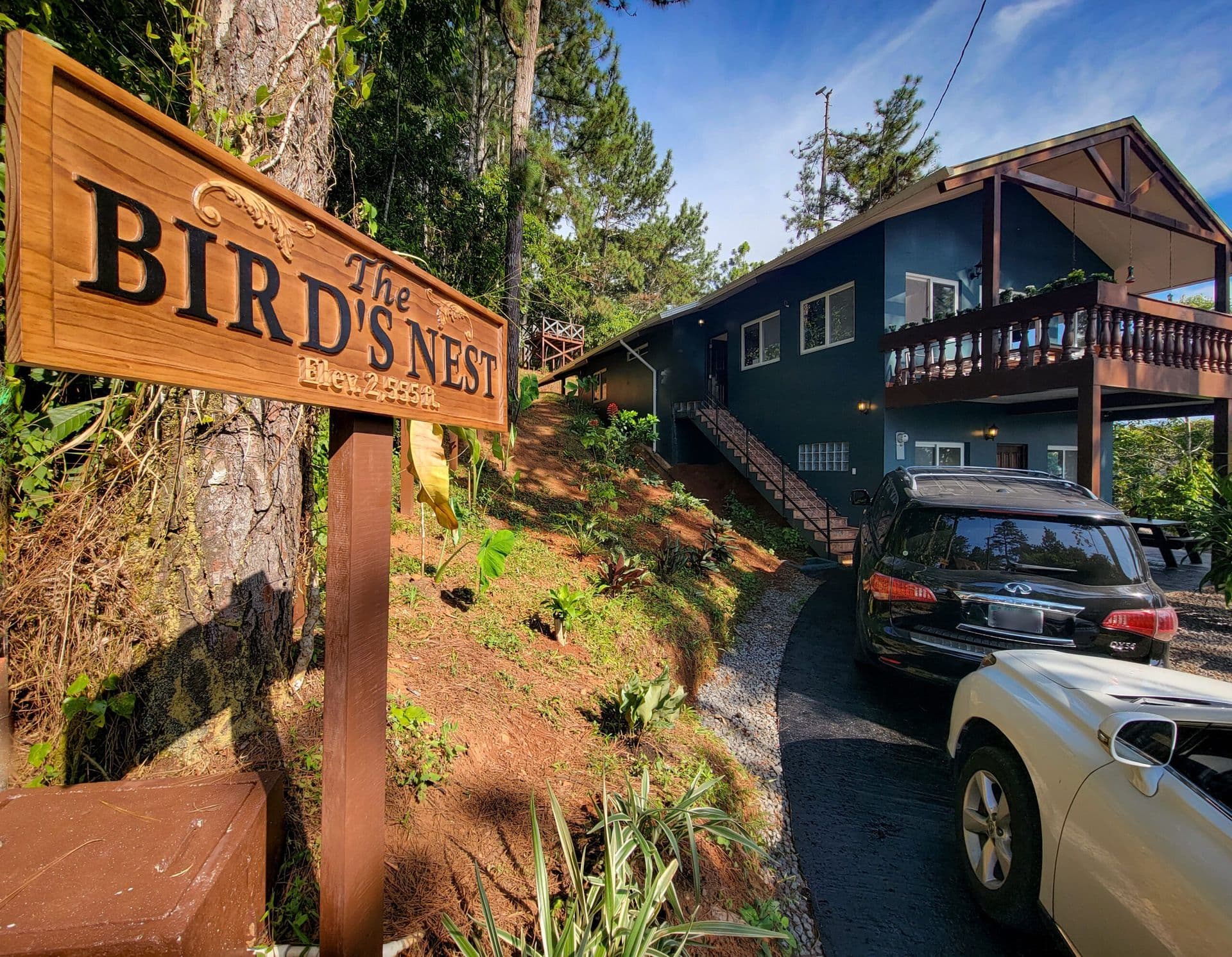Solo Birder · King Bedroom