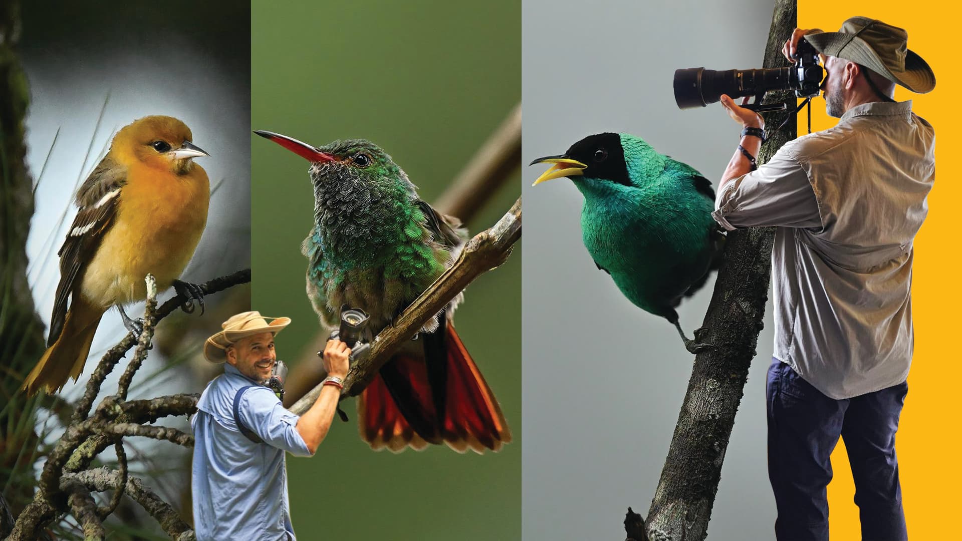 Birds & Nature Photography Workshop